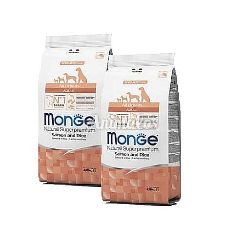 מונג' סלמון ואורז לכלב בוגר מכל הגזעים 24 ק"ג Monge Salmon and Rice All Breeds Adult